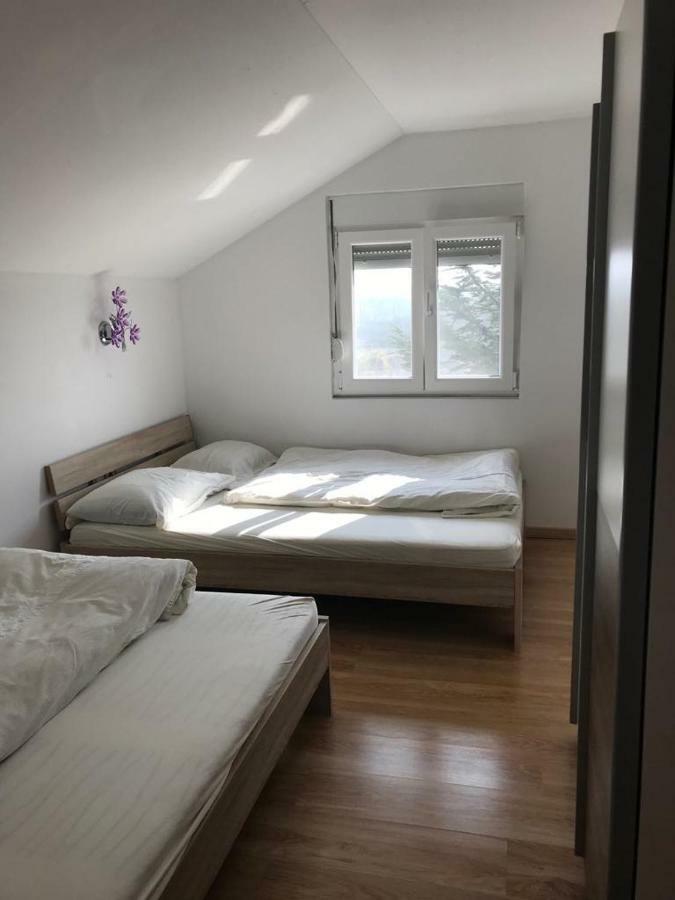 Apartmani Livk Debeljak Ngoại thất bức ảnh